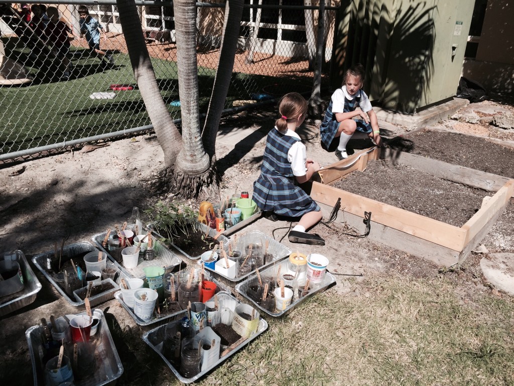 Kids Garden St thomas