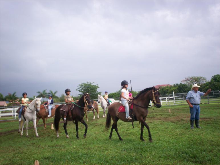 equestrian camp