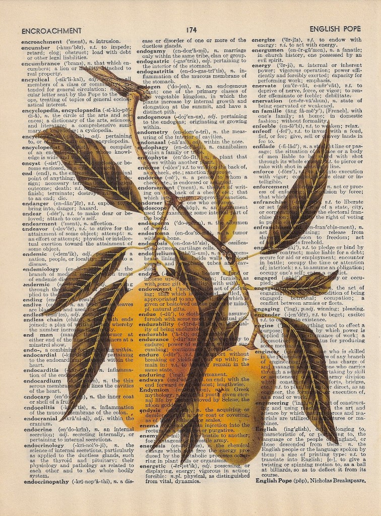 mangos vintage