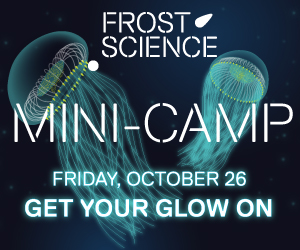 OCT-26-MINI-CAMP-300X250